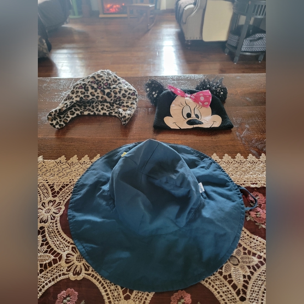 Lot of 3 Toddler hats (2 winter, 1 summer)
